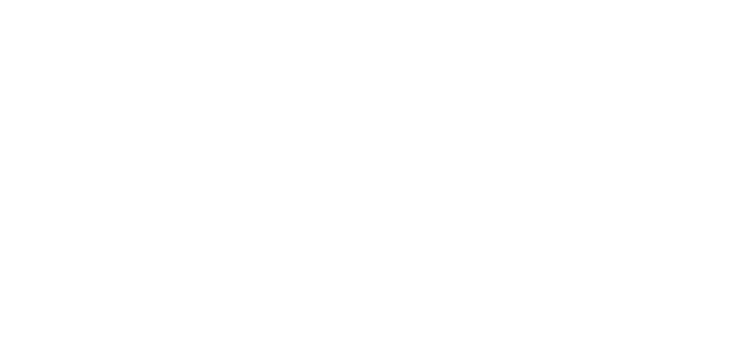 汽配峰 Logo